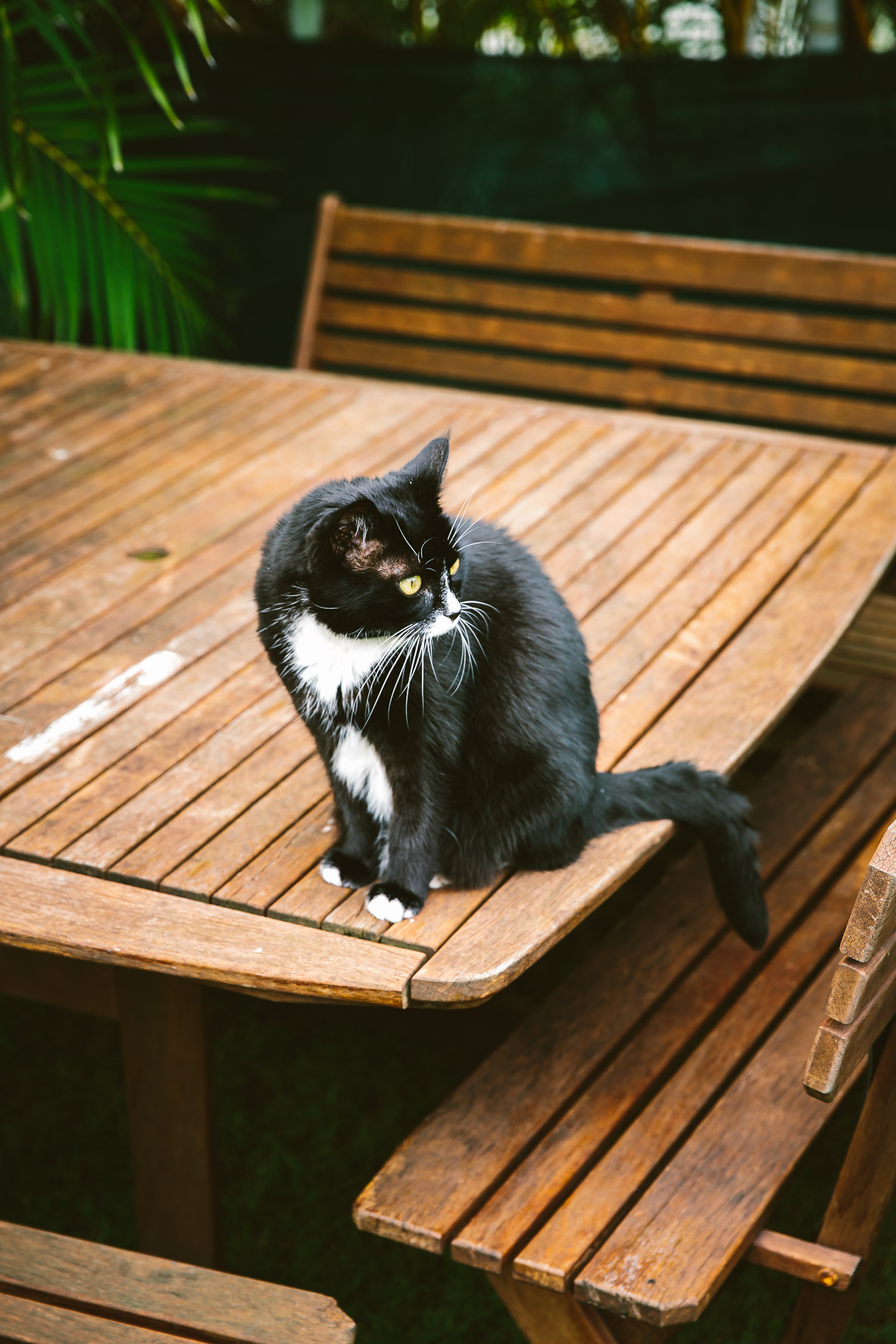 Emma & Nick Wedding_Web-9766