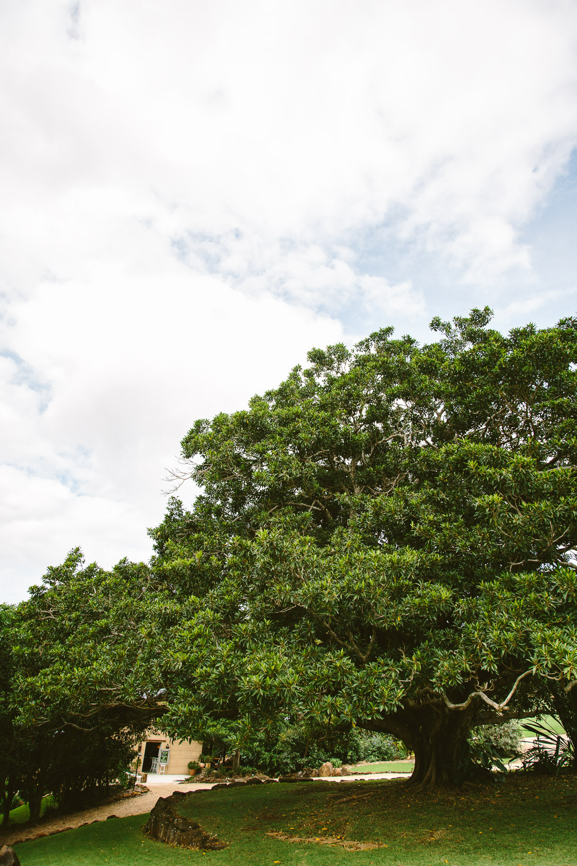 Emma & Nick Wedding_Web-9661